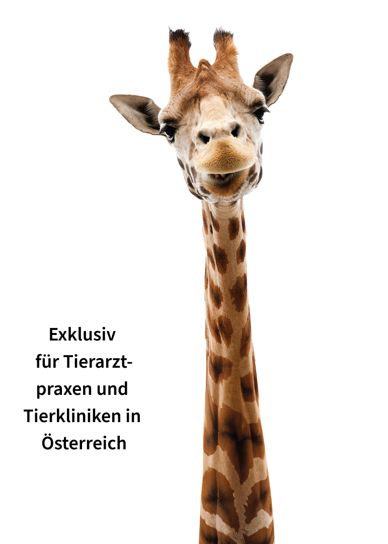 Eine Giraffe und ein Sticker mit der Schrift "Exklusiv für Tierarztpraxen und Tierkliniken in Österreich"